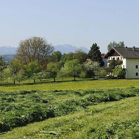 Apartamento Koellhof *