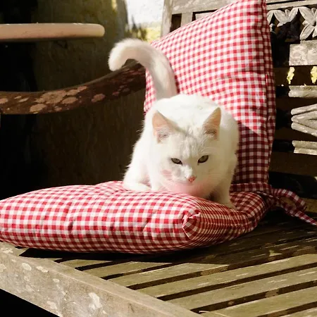 Koellhof Daire Höslwang